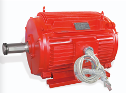 YEX4系列三相異步電動(dòng)機(jī) (高溫消防風(fēng)機(jī)風(fēng)機(jī)用)